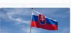 Slovenské Hnutie Obrody. Naše hodnoty a ciele